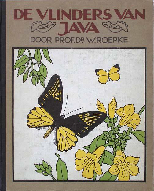 kaft vlinders van Java