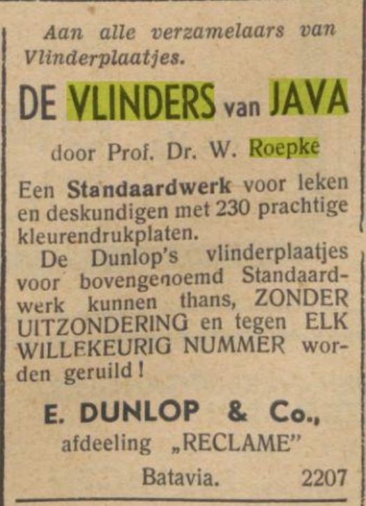 vlinders van Java. plaatjes ruilen.