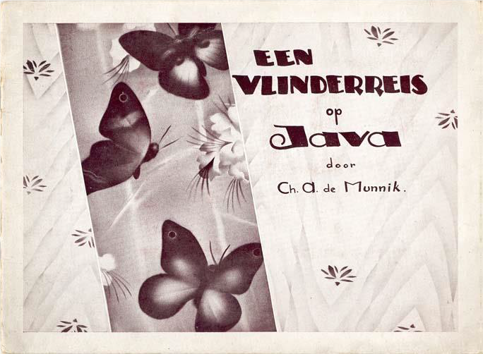 zandoogvlinder Aoesa