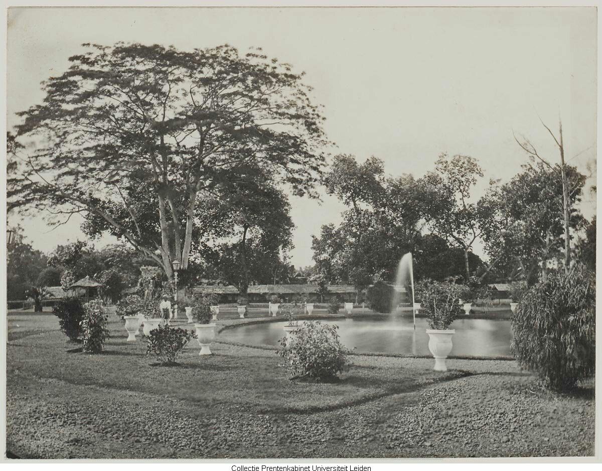 planten dierentuin 2