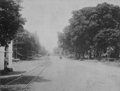 1875 ong. hoofdweg in Meestercornelis. foto Tropenmuseum